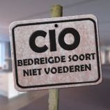 Trilogy levert advies voor uw ICT projecten